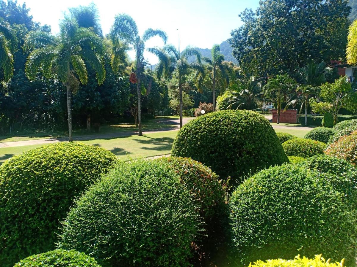 Gardenia Oceanfront